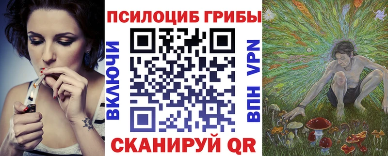 Псилоцибиновые грибы Cubensis  Хилок 